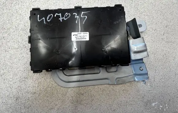 Nissan Leaf II (ZE1) Other control units/modules 116RI000259 C4A22 116RAI000258