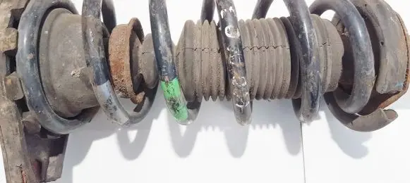 Nissan Primera Rear coil spring