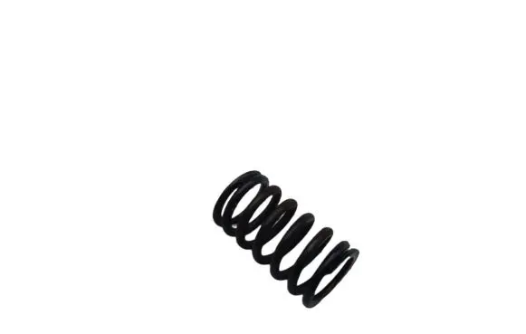 Toyota Corolla Verso E121 Valve spring 