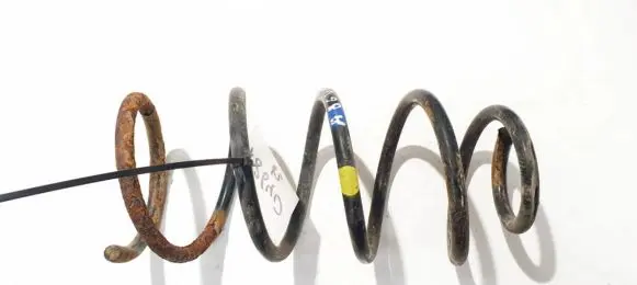 Fiat Punto (188) Rear coil spring 