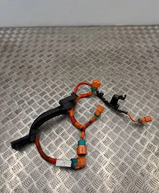Ford Mustang Mach-E Other wiring loom LJ9814B323AE