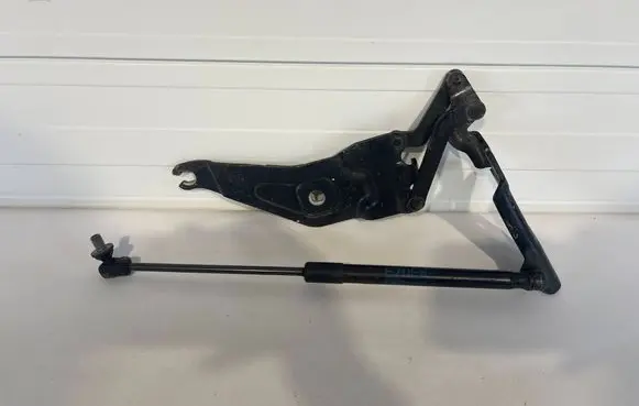BMW X5 E70 Engine bonnet/hood hinges 7208627