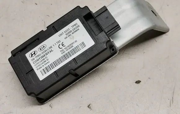 Hyundai Santa Fe Tire pressure control unit 958002W200