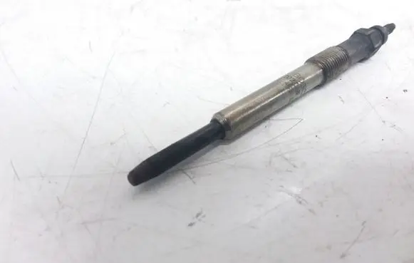 Peugeot 407 Glow plug 0250202048