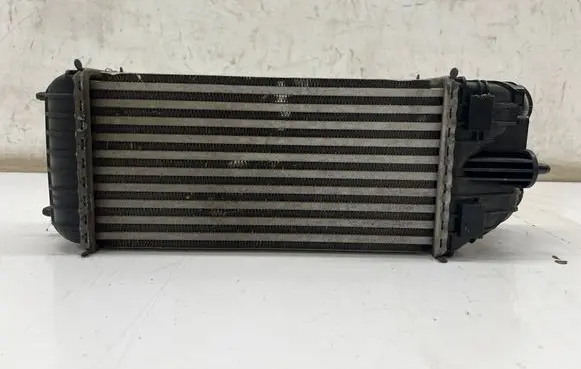 Opel Crossland X Intercooler radiator 9803900780