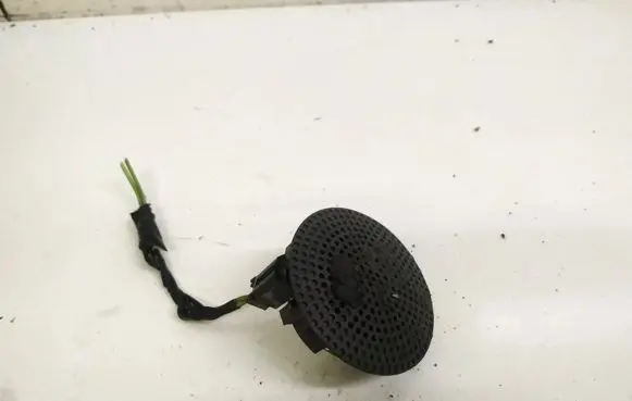 Front door speaker