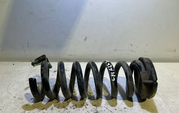 Dodge Challenger Rear coil spring 68391332AB