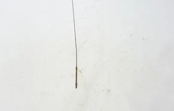 Volvo V70 Oil level dip stick 31258054