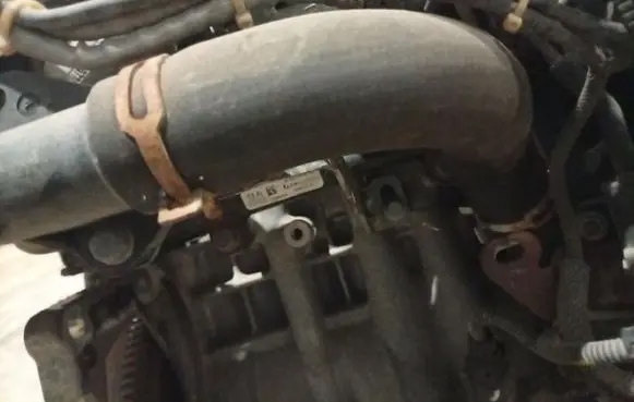 Citroen Berlingo Engine coolant pipe/hose