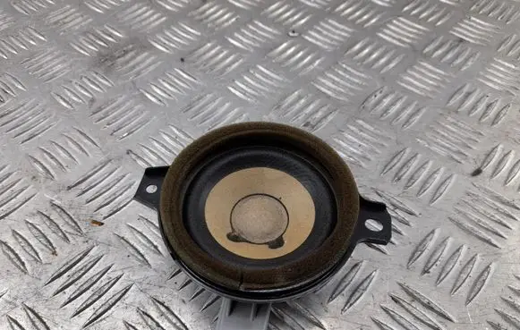 Cadillac CTS Front door speaker 20884480