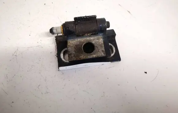 Volvo S80 Rear door lower hinge