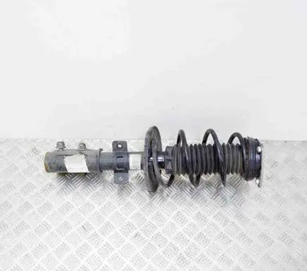 Opel Grandland X Front shock absorber/damper 9819718680