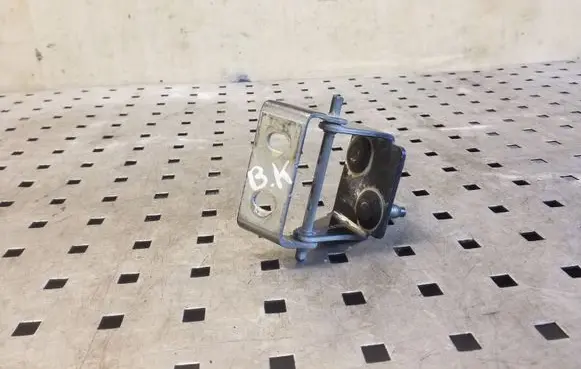 Tailgate/trunk/boot hinge