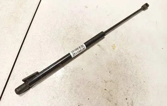Peugeot 4007 Tailgate/trunk strut/damper 2402023