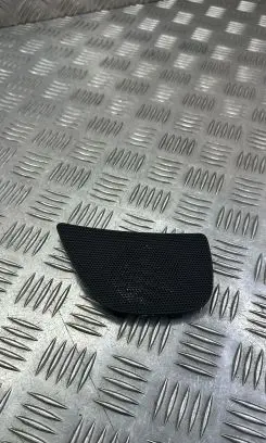 Side speaker trim/cover