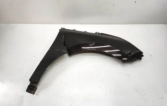 Renault Espace V (RFC) Fender