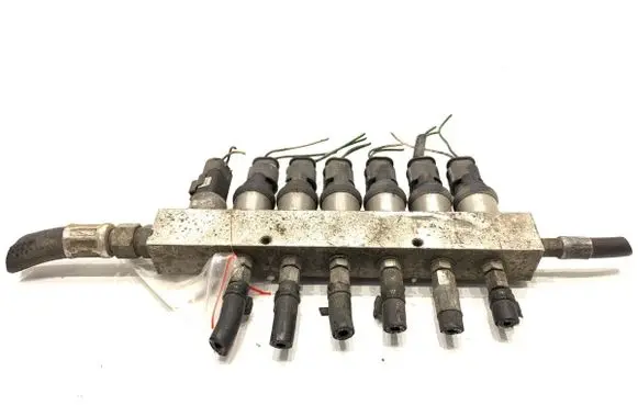Chevrolet Epica LP gas injector 09SQ9