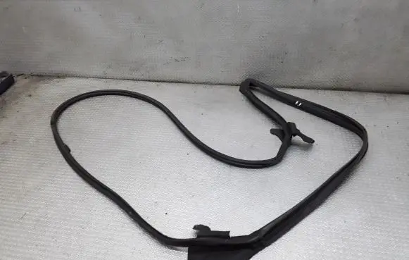Lexus NX Rubber seal front coupe door 