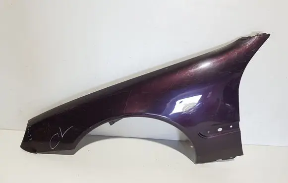 Mercedes-Benz S W220 Fender