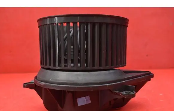 Peugeot 607 Heater fan/blower 