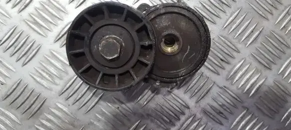 Peugeot 406 Generator/alternator belt tensioner