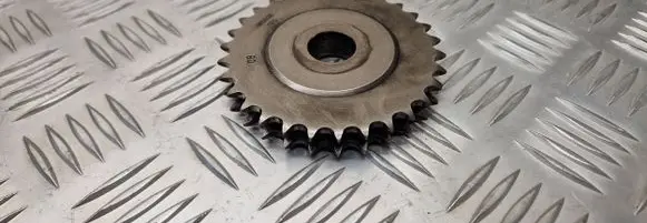 Peugeot Boxer Timing chain sprocket 