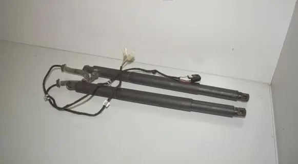 Tailgate/trunk strut/damper
