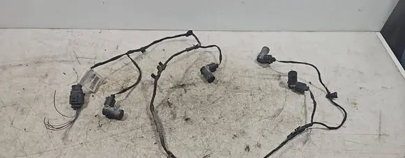 Audi A6 S6 C6 4F Parking sensor (PDC) wiring loom 4F1971095N TAB010889D G247A