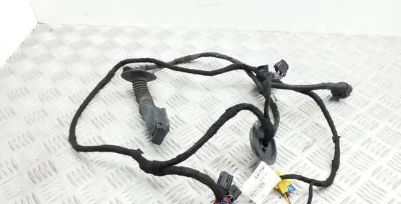 Audi Q5 SQ5 Front door wiring loom 8R0971029B