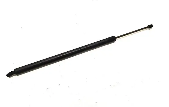 Tailgate strut