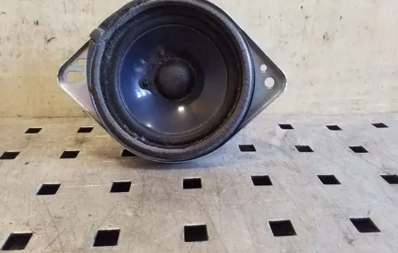 Ford Focus Panel speaker AM5T18808AA
