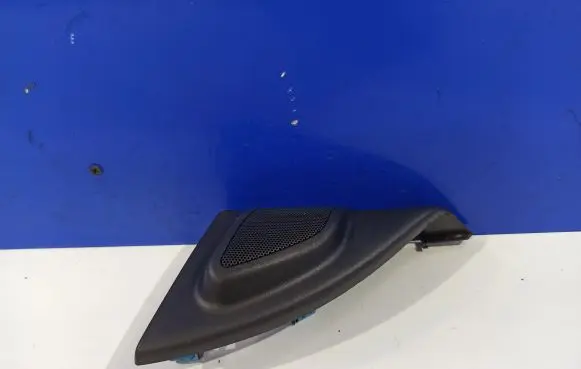 Panel speaker