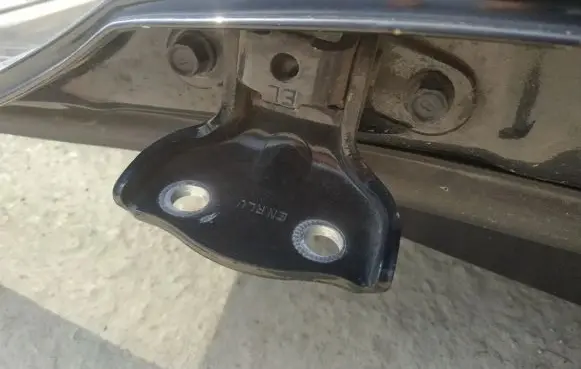 Hyundai ix 55 Rear door lower hinge