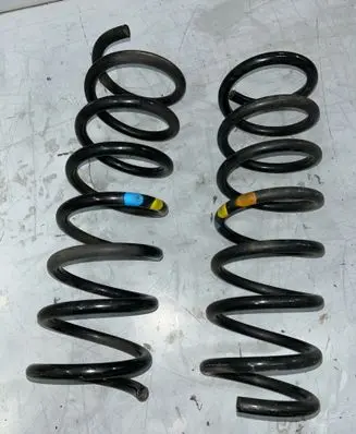 Rear coil spring