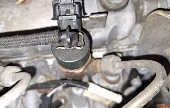 Renault Scenic I Fuel injector 0445110021