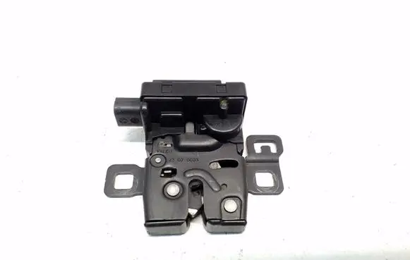 Land Rover Range Rover Sport L320 Tailgate window lock/catch/latch FQR500040 43070C03