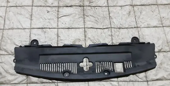 Engine bonnet/hood lock trim molding
