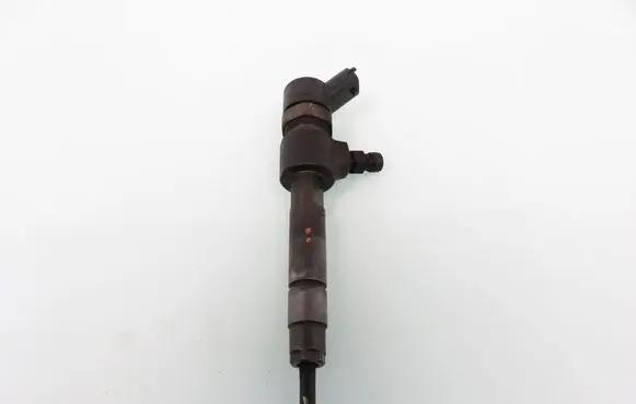 Fiat Punto (199) Fuel injector 0445110276