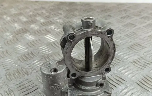Jeep Grand Cherokee Throttle valve 50569200 33911B4569
