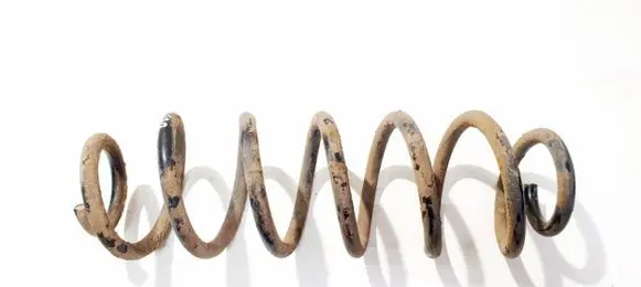 Skoda Octavia Mk2 (1Z) Rear coil spring