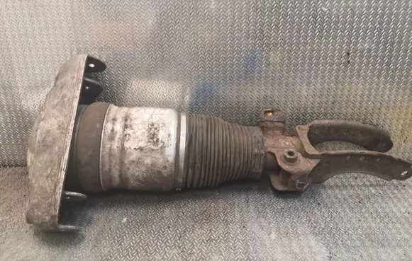 Porsche Cayenne (9PA) Front shock absorber/damper