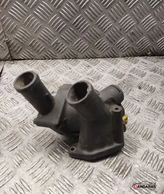 Thermostat/thermostat housing