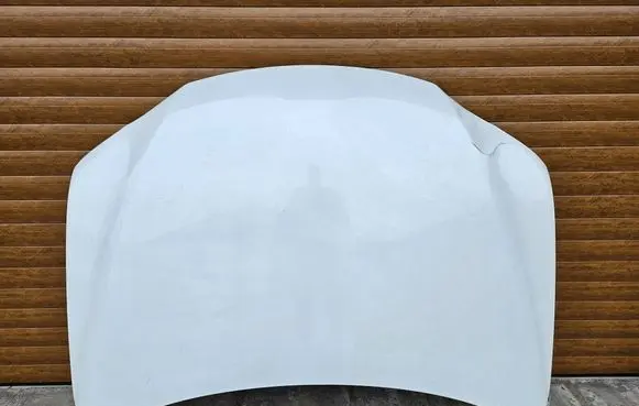 Engine bonnet/hood
