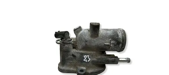 Mercedes-Benz E W210 Thermostat/thermostat housing 167007