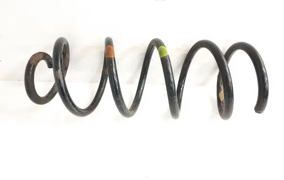 Rear coil spring