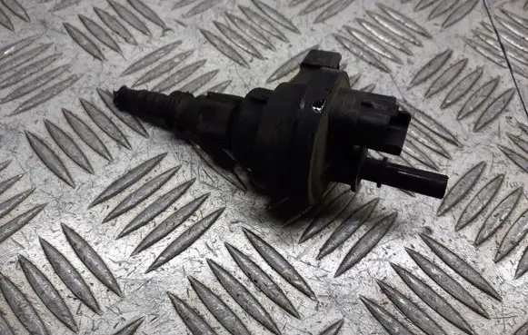 Renault Megane II Valve vacuum 2580119A