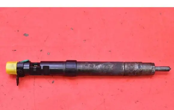 Ford Kuga I Fuel injector 9686191080