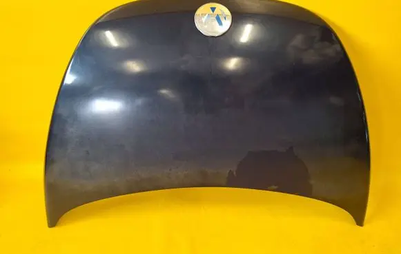 Engine bonnet/hood