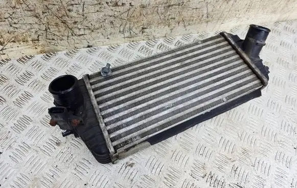 KIA Carens III Intercooler radiator 282702A820 3930084400