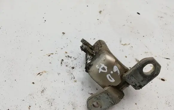 Suzuki Grand Vitara II Rear door lower hinge NOCODE
